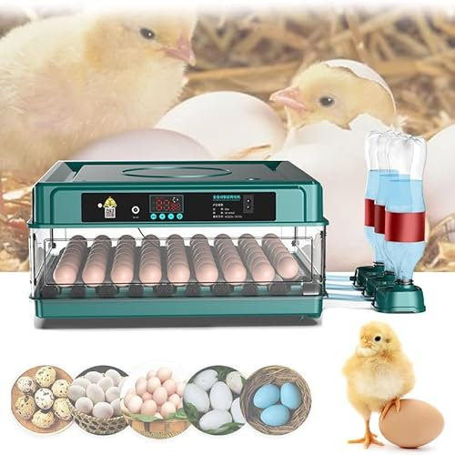 Incubadora Huevos Gallina, Incubadora Automática de 16-24 Huevos, Incubadora Totalmente Automática con Control de Temperatura, Indicador de Humedad, Volteador Automático de huevos -Verde(24 Huevos)