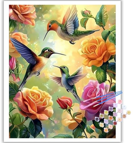 Mafenr Art Peinture Numero Adulte, Colibri Peinture par Numéro Adulte, Colibri Paint by Number pour Décoration et Cadeaux, Sans Cadre (40x50cm)