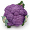 100 Semi di Cavolfiore Viola - SemiSelvaggio Permacultura
