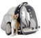 Interfashioner - Zaino per gatti grandi, espandibile, per cani di piccola taglia fino a 9,1 kg, zaino per gatti grossi