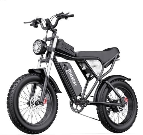 Snokco Q20 Adult Electric Bike 52V40AH/48V20AH/48V15AH Removable Battery Off-Road Motorcycle 20 x4.0 All Terrain Fat Tire Electric Bike (Black 48V20AH Battery)
