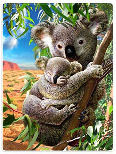 Zomer Kuscheldecke,Koala,150x200cm,Grau,Flauschige Decke Mikrofaser Fleecedecke Weiche & Warme Sofadecke/Couchdecke