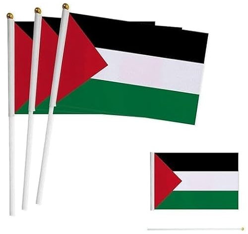 EHOTER Lot de 10/20 mini drapeaux palestiniens à main de 14 x 21 cm avec mât blanc aux couleurs vives, petit drapeau palestinien agitant la main, décoration d'intérieur et d'extérieur (lot de 10)