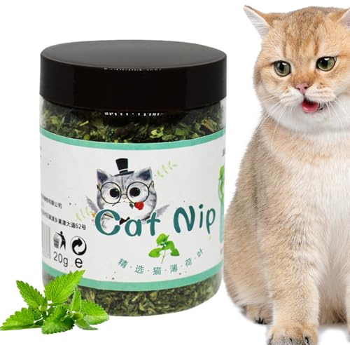 Ranley Cat Nip para gatos – Premio para gatos y gatitos | Atractivo de entretenimiento calmante interactivo para plantas de gatitos de interior, kit de alimentos, disfrute