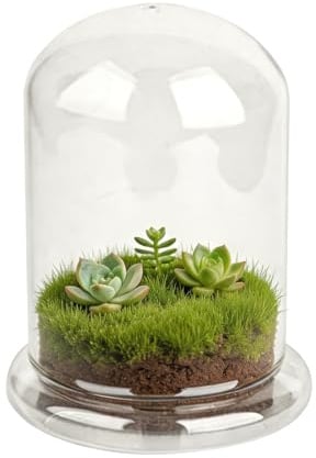 FRUHLING Mini terrario de cristal para plantas suculentas, cúpula de cristal transparente decorativa con agujero de aire, jardín de botellas, bricolaje, para decoración de mesa, regalo (12 x 16 cm