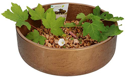 Pottery Pots Ethan Dekoschale Bronze, Größe L, handgefertigte Schale aus Glasfaser, Stein u. Beton, Deko für Drinnen & Draußen, wetterfest