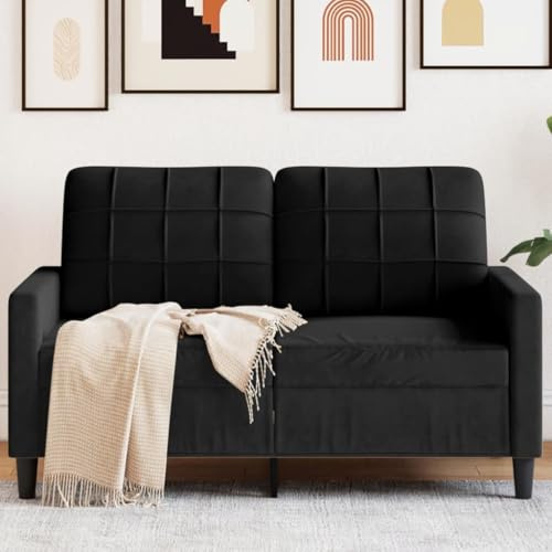 WEMYUFURN Modernes 2-Sitzer Samtsofa mit Metallgestell – Bequemes Sofa mit weicher Polsterung für Wohnzimmer, Leseecke und Entspannung