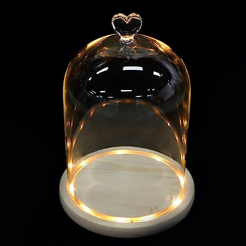 FRCOLOR Dekorative Lichter Leuchtende Glaskuppel Muffinglocke Rose Glashaube Glaskuppel Mit Massivholzsockel Glaskuppeln Für Ausstellungszwecke Cupcakes Hölzern 3D Pflanze Weiß Pappbecher