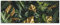 Poster Blätter Pflanzen Monstera Grün Gold - 120x45 cm Panorama Querformat - OHNE RAHMEN XXL Wandposter Kunstdruck Fotoposter Wandbild Wandbilder Wand Bild auf Poster Wohnzimmer Schlafzimmer Küche