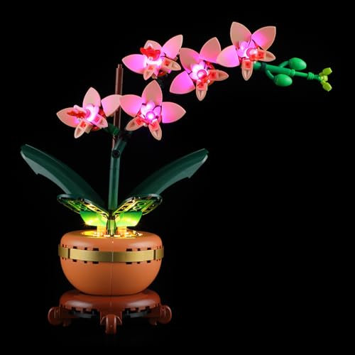 YEABRICKS LED Lumière pour Lego-10343 The Botanical Collection L’orchidée Miniature Modèle de Blocs de Construction (Ensemble Lego Non Inclus)