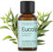 Aceite Esencial de Eucalipto Natural - 100% Puro - El Poder Curativo de la Naturaleza - 30 ml - ESSENCIALES