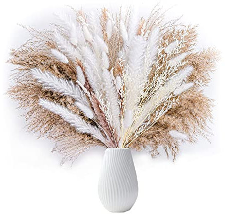 Pampasgras Getrocknet Bouquet Natürliche, 80 Stück Set Trockenblumen, Braun & Weiß Pampasgras Flauschige Wedel, Lagurus und Schilfblume Getrocknete Blumen, für Hochzeit Deco und Boho Home Deco