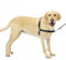 PetSafe, Easy Walk Hundegeschirr, das ultimative Geschirr gegen Ziehen bei Spaziergängen, übernimm die Kontrolle und lehre EIN besseres Leinenverhalten, Large, Dunkelgrau/Schwarz