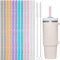 NiHome Lot de 12 pailles de rechange en plastique pailleté pour gobelet Stanley de 1,18 l, diamètre de 0,8 cm, paille réutilisable de 30,5 cm de long avec 2 brosses – PETG durable, sans BPA, avec