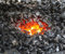CARBONE FORGIA 20 KG PEZZATURA 10/20 CARBONELLA FORGIATURA FABBRO DF 108710