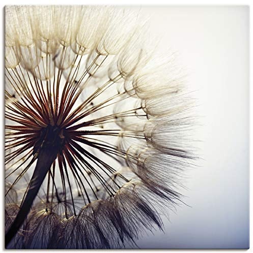 ARTLAND Wanddeko Leinwand Bilder Wandbild 40x40 cm Blumen Pusteblume Botanik Blüten Modern Kunst Sommer Natur T4RE