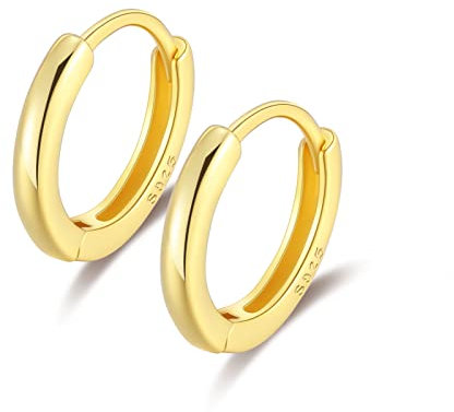 925 Silver Earrings 10mm Sterling Silver Gold Plated Cartilage Tragus Helix Conch Cartalidge Hinged Huggie Hoops Earrings Piercings