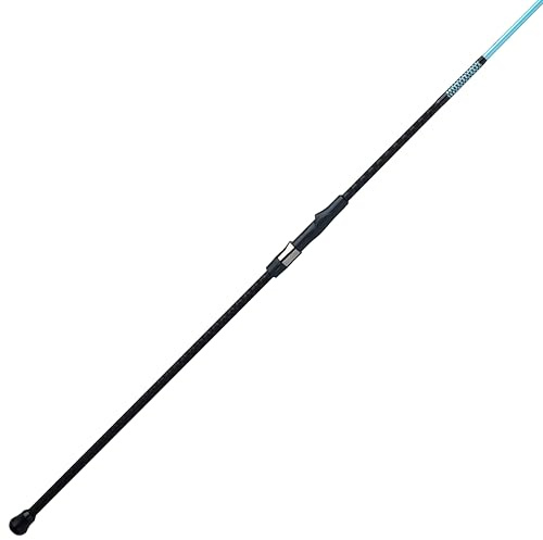Ugly Stik 10' Carbon Surf Casting Rod, 2 Piece Fishing Rod, Medium Heavy Rod Power, 15-30 lb Line Rating, Lure Rating 2-6 oz