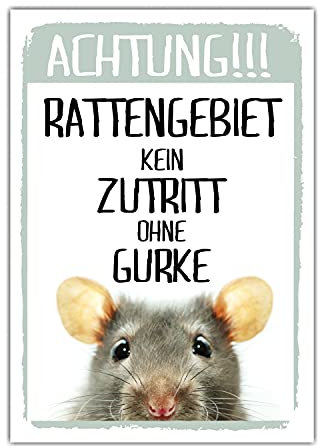 Achtung Ratte Kein Zutritt Gurke Schild lustig Spruch Türschild Warnschild Fun Metallschild