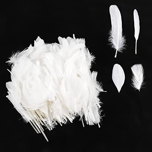 Vaktop Federn zum Basteln, 300 Stück Federn Weiss, Natürliche Bastelfedern, Federn Deko für Traumfänger, Ohrring, DIY Basteln, Hochzeit Deko (4 Größen)