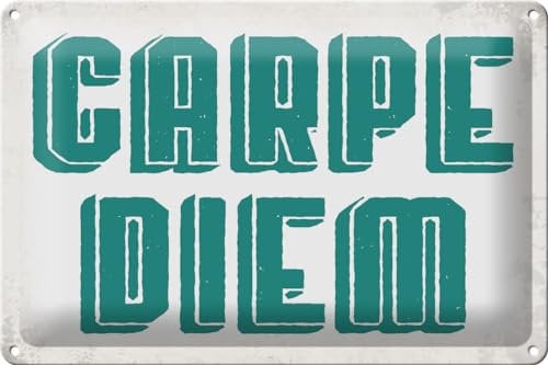 Schild Blech 30x20cm - Made in Germany - Spruch carpe diem nutze dein Tag Metall Deko Blechschild