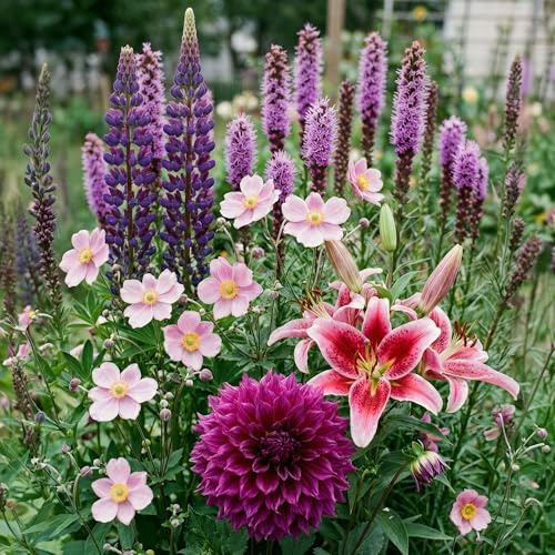 Bienenfreundliche Blumenzwiebeln Mix - Gemischtes Set für Bienen & Schmetterlinge (30 Zwiebeln) - Bienenwiese Sommerblumen - Insektenfreundlich bis 150cm - Blütezeit April bis September