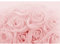 Runa Art Papel tapiz fotográfico 396 x 280 cm flores rosas | Lana Decoración De Pared Sala Cuarto | Fabricación alemana | Rosa 9258012a