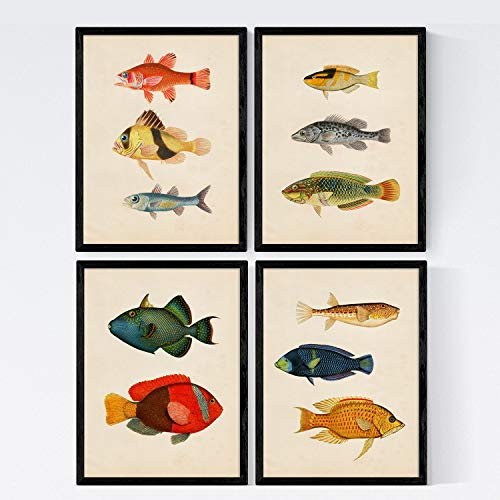 Nacnic Premium-Set mit 4 Postern mit schönen Fischen | Bilderblätter mit Illustrationen der Meereswelt | Fisch auf Vintage-Papierhintergrund / A4-Format (21x29,7cm) ohne Rahmen /