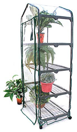 Serre per Orto, Giardino o Terrazzo - Varie Misure - Telo Trasparente in PVC e Struttura in Metallo Verniciato (69X49X157 CM - 4 RIPIANI CON RUOTE)