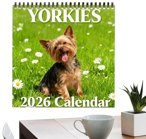 Yorkshire Kalender 2026, Wandkalender Hund 2026, 12 Monats Familienplaner Mit Lustigem Tier, Gänseblümchen Und Grasmuster, 12 Süße Bilder Von Yorkshire Terrier Welpen, Für Home-Office Klassenzimmer