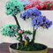 . 100 PC/Beutel Japanische Azalee Pflanzen Rhododendron Azaleen-Blumen-Baum-DIY Topfpflanze Hausgarten-Dekoration Plant: 19