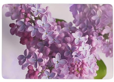 AQRJKHD Tapis de bain super absorbant à séchage rapide Motif fleurs lilas