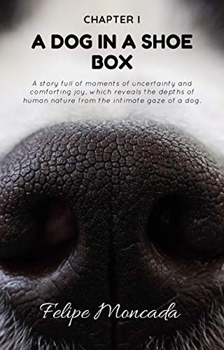 A DOG IN A SHOE BOX (English Edition)