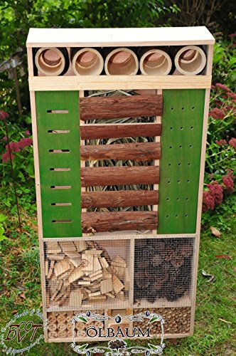Insektenhotel 122 x 60 cm, MEGA-XXL,Front GRÜN, wetterfest IN Natur Holz,NEU große Futterfläche,Front BLAU/HOLZHAUS-Natur MASSIV, wetterfest