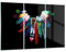 ARTTOR Mehrteilige Bilder auf Glas 165x110cm Glasbild Vogel Feder Farbe Komposition Groß XXL Wanddeko Schlafzimmer Küche Set 3 teilige Wandbilder Dekoration Wohnzimmer Modern Wand Art GCE165x110-2932