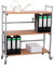 Rollregal/Ordner-Rollwagen HxBxT: 100x89x30cm, 3 Böden, Buche, inkl. 2 Ordnerhalter, Made in Germany (Marke: Szagato) (Ordnerrollwagen, Ordnerregal, Büroregal, Bürowagen, Aktenwagen, Rolltisch)