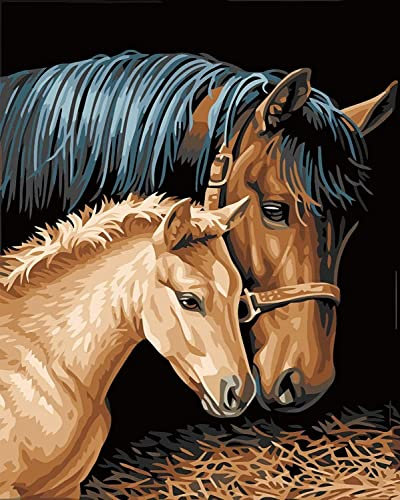CICISTORY Peinture par Numéro Adulte, Peinture à l'huile de Bricolage avec Brosses et Peintures Acryliques Kit Peinture Adulte 40x50cm (sans Cadre)