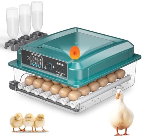 Incubadora totalmente automática para 36 huevos con control de temperatura y volteo automático, 4 modos automáticos, incubadora para pollos, patos, gansos, codornices, vista panorámica de 360° (Verde)