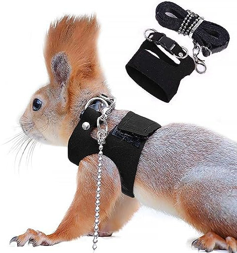 Eichhörnchen-Traktionsseil, Anti-Biss-Kette, verstellbare Weste, Kleintier-Geschirr mit Leine, Hamster, Rennmaus, Ratte, Maus, Frettchen, Chinchilla, Kleintier-Leine