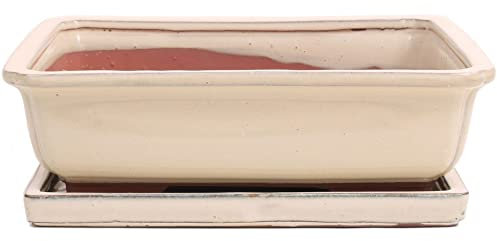 Bonsai - Schale eckig 31 x 23,5 x 9,5 cm, cremefarben, mit Untersetzer 41912