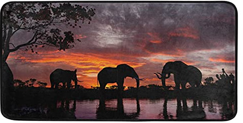 TropicalLife Afrika Elefanten Sonnenuntergang Fußmatte Läufer Teppich Indoor Outdoor rutschfest Küche Waschbar Eingangsbereich Teppich für Schlafzimmer Wohnzimmer Lange Bodenmatte