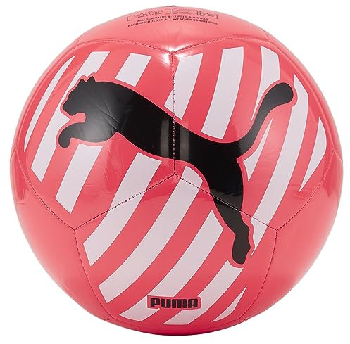 PUMA Big Cat Ball Soccer, White, 5