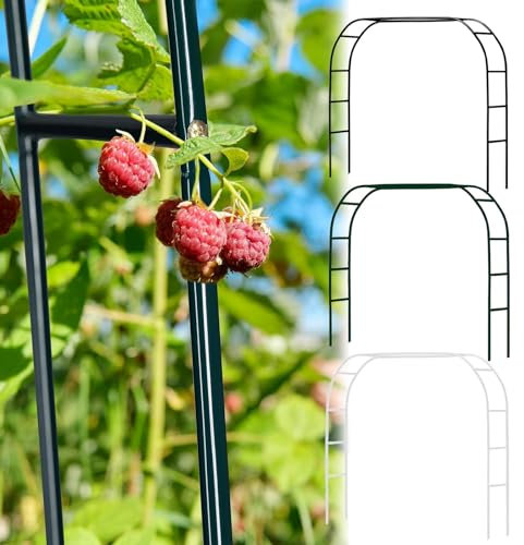 LIYI929GP Schwarz Gartenbogen Rosenbogen Aus Metall, Stark Und Robust Hochzeit Torbogen Blumenständer Hochzeit Dekorationen Bogen, Weiß Dunkelgrün Torbogen Rankhilfe Spalier Rankgitter Rosenhilfe