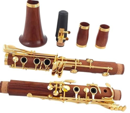 Profi-Klarinette Redwood 17 Vergoldet