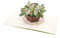 White Flowers Basket 3D Pop Up Card, Handmade Sympathy And Condolence Greeting Card, Thinking Of You, Sorry For Your Loss, Memorial, Get Well Soon, Healing, Funeral, Wedding