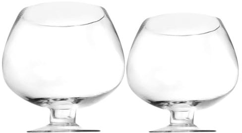 IMIKEYA 2pcs Tank for Home Decor Betta Tank for Desktop Aquatic Plants and Fish for Friends