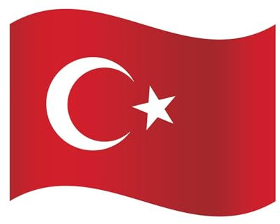 EM Fanartikel Magnet Flagge Fahne für Auto Deko Alle Länder Verschiedene Größen (Türkei, L (45x30cm))