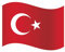 EM Fanartikel Magnet Flagge Fahne für Auto Deko Alle Länder Verschiedene Größen (Türkei, L (45x30cm))
