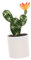 VICASKY Simulazione Di Cactus Piante Rampicanti Finte Piante Grasse In Rattan Bouquet Artificiali Decorazioni Per Feste All'Aperto Fioriere Succulente Piante Realistiche Piante