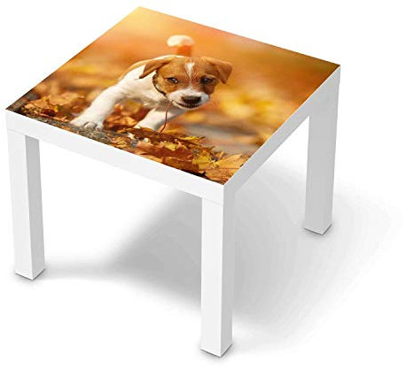 Möbeltattoo passend für IKEA Lack Tisch 55x55 cm I Möbeldekoration - Möbel-Aufkleber Folie Tattoo I Deko DIY für Schlafzimmer, Wohnzimmer - Design: Jack the Puppy